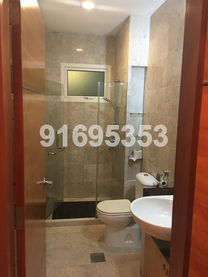Thomson Vale (D11), Apartment #155814442